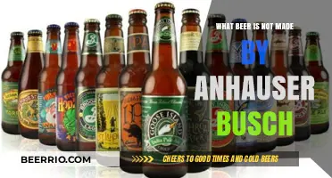 Exploring Craft Brews: What Beer Isn't Made by Anheuser-Busch?