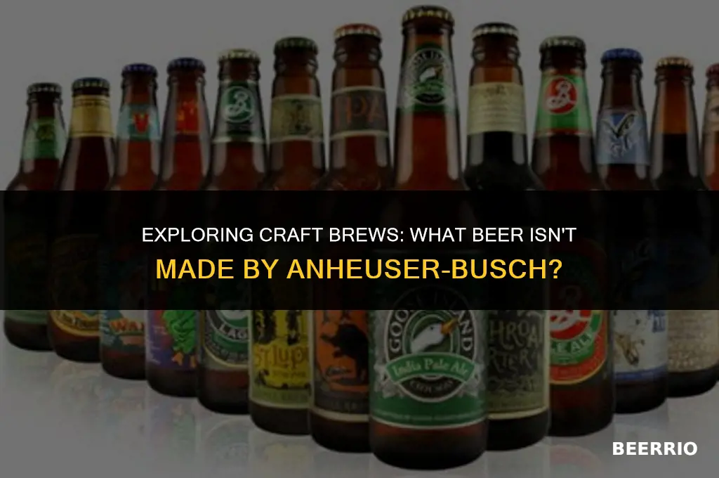 what beer is not made by anhauser busch