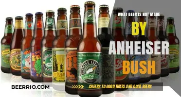 Exploring the Craft: Beers Beyond Anheiser-Busch's Reach