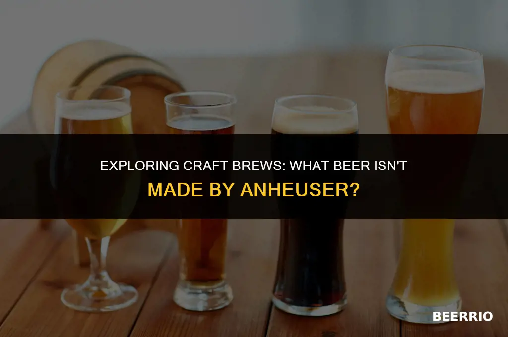 what beer is not made by anheuser