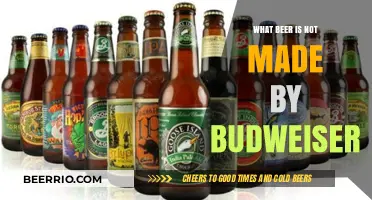 Exploring the Craft: Beers Beyond Budweiser's Reach