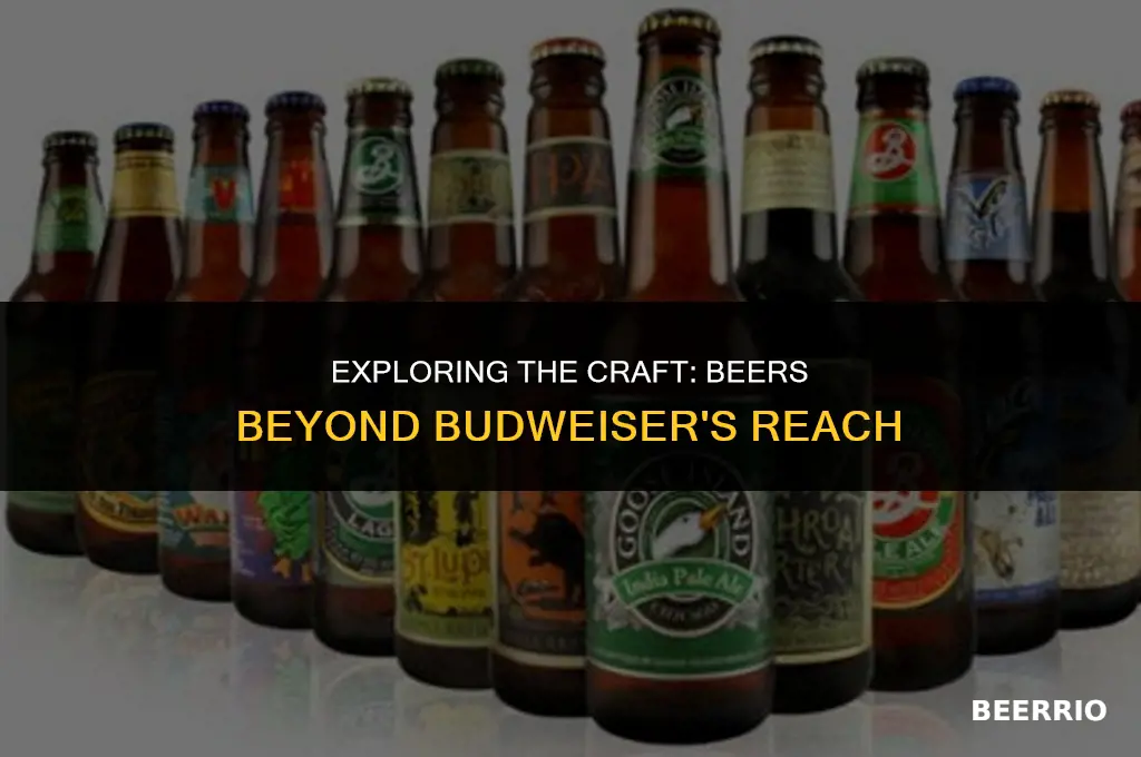 what beer is not made by budweiser