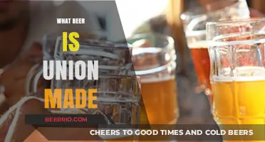 Crafting Solidarity: A Guide to Union-Made Beers for Conscious Consumers