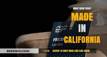 Exploring the Craft: California's Unique Beer Yeast Strains