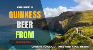 Exploring the Origins of Guinness: A Journey Through Irish Brewing History