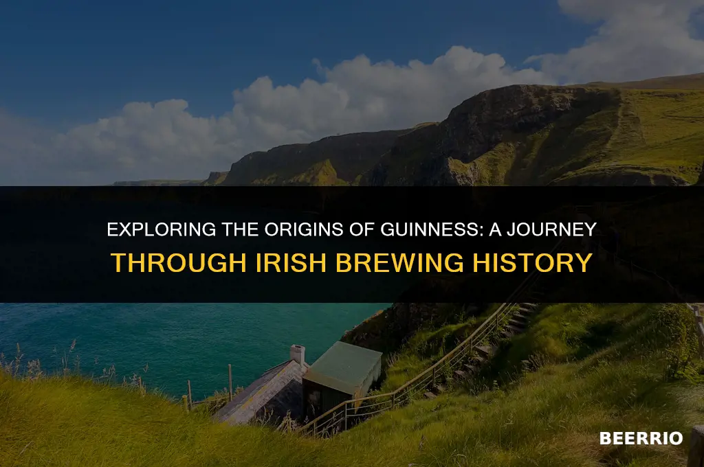 what country is guinness beer from