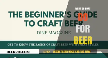 From Bitter to Bliss: The Magical Role of Hops in Beer