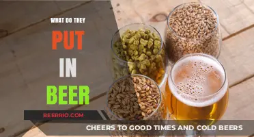 Unveiling the Ingredients: What Really Goes Into Your Beer?
