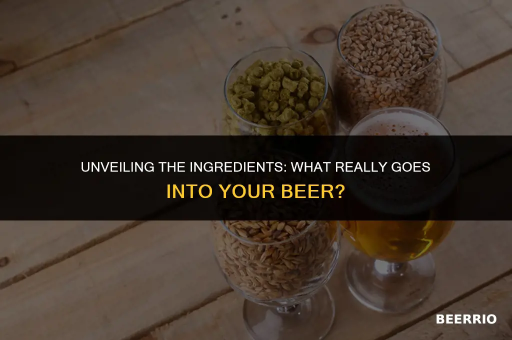 what do they put in beer