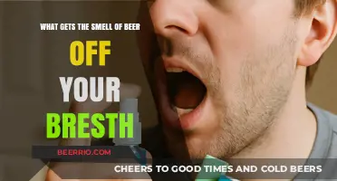 Fresh Breath Solutions: How to Eliminate Beer Odor Quickly