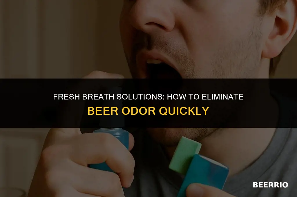 what gets the smell of beer off your bresth