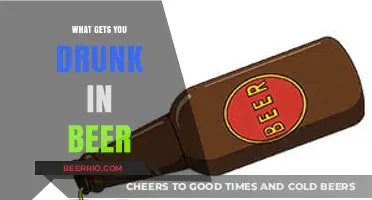Exploring the Intoxicating Ingredients: What Gets You Drunk in Beer?