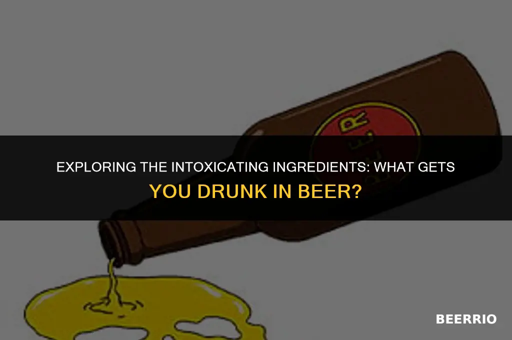 what gets you drunk in beer