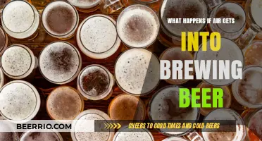 The Uninvited Guest: Air's Impact on Beer Brewing Explained