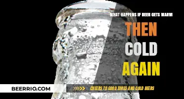 The Chill Cycle: What Happens When Beer Gets Warm Then Cold Again