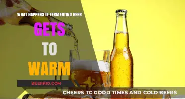Fermentation Frenzy: The Risks of Overheating Your Beer Brew