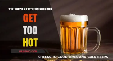 Fermentation Frenzy: What Happens If Your Beer Gets Too Hot?