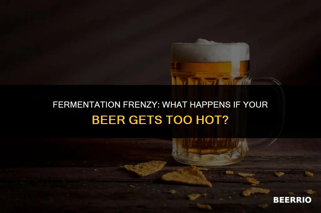 what happens if my fermenting beer get too hot