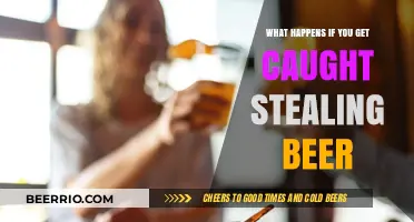 Consequences of Shoplifting: What Happens If You Get Caught Stealing Beer?