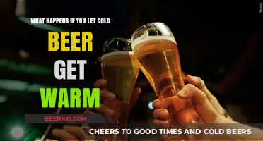 The Surprising Effects of Warming Up Your Cold Beer