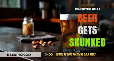 The Unfortunate Tale of a Skunked Beer: Causes and Consequences