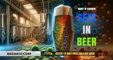 The Surprising Effects of Oxygen on Beer Quality and Taste