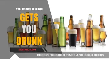 Unveiling the Buzz: The Key Ingredient in Beer That Causes Intoxication