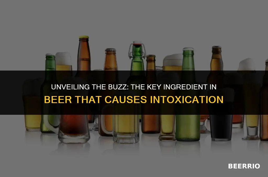 what ingredient in beer gets you drunk