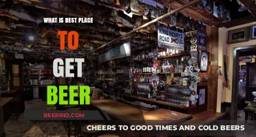 Hoppy Explorations: Unveiling the Ultimate Spots for Beer Enthusiasts