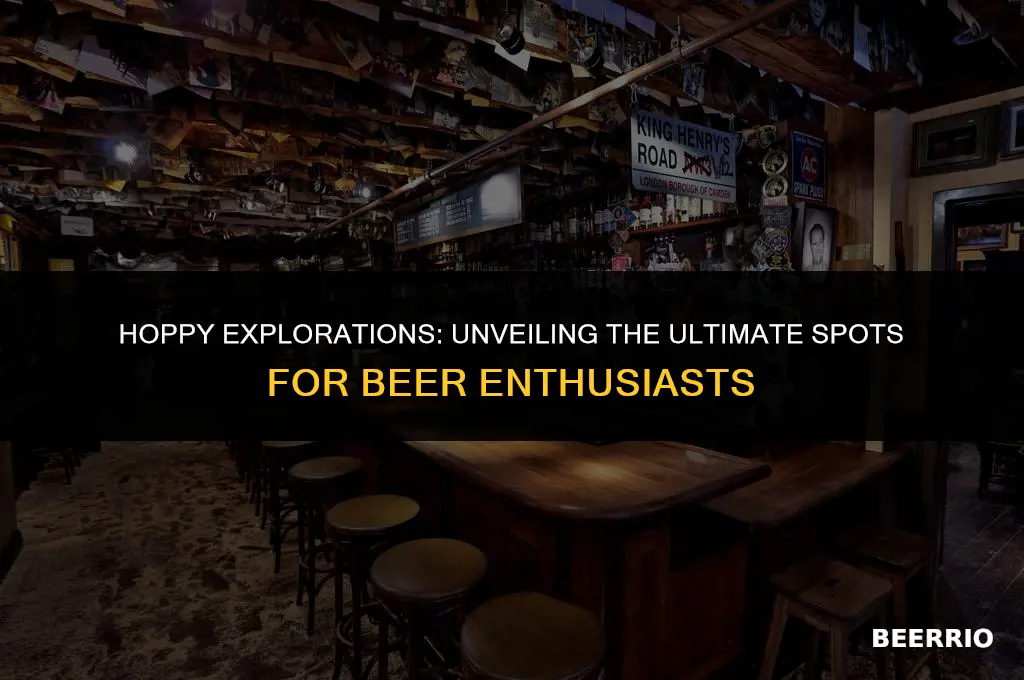 what is best place to get beer