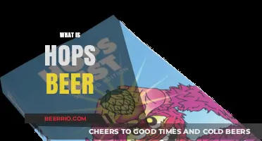 Exploring the Flavorful World of Hops in Beer