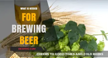 Crafting Brews: Essential Ingredients and Equipment for Beer Making