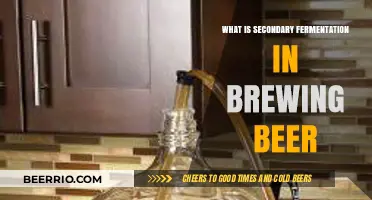 Unlocking the Secrets of Secondary Fermentation in Craft Beer Brewing
