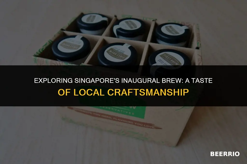 what is singapore