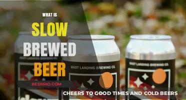 Exploring the Rich Flavors of Slow-Brewed Beer: A Journey Through Time and Taste
