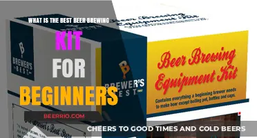 Kickstart Your Brewing Journey: Top Beer Kits for Newbies