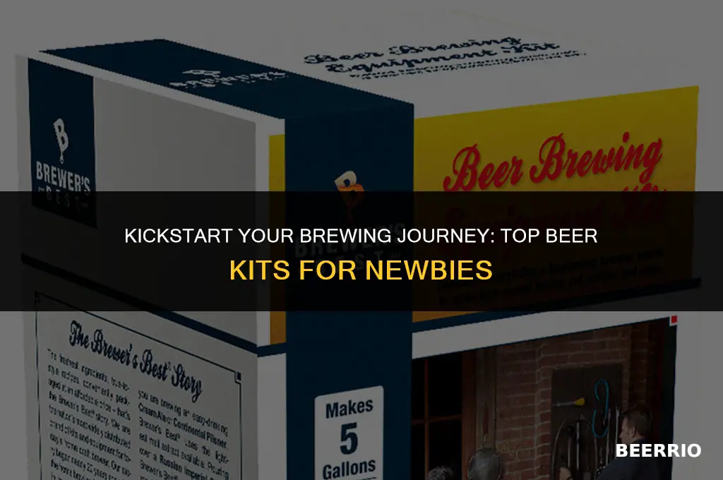what is the best beer brewing kit for beginners