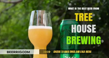 Exploring Tree House Brewing's Finest: A Beer Enthusiast's Guide