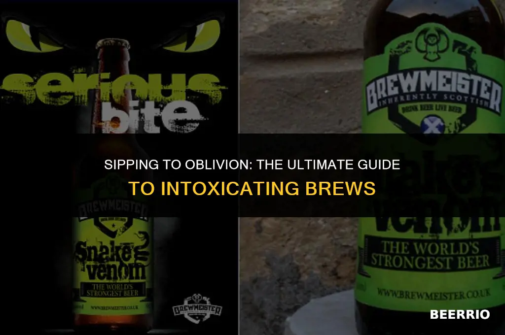 what is the best beer to get drunk off of