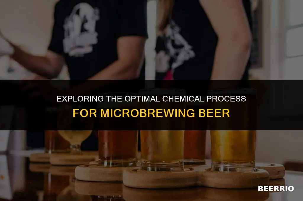 what is the best chemical process of micro brewing beer