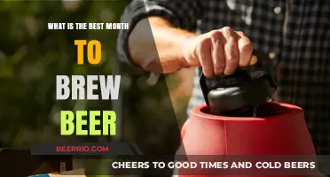 The Optimal Brew: Unveiling the Best Month for Crafting Beer