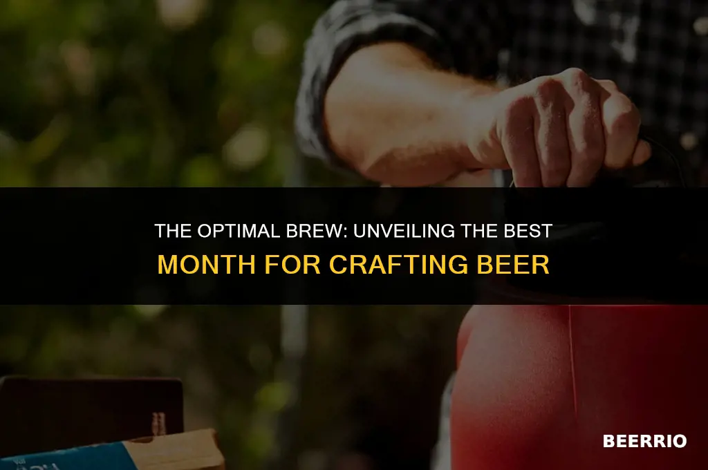 what is the best month to brew beer