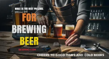 Unlocking the Perfect Brew: The Ideal pH Level for Beer Making