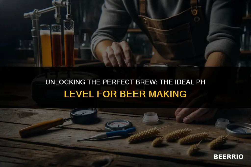 what is the best ph level for brewing beer