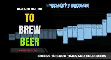 Unlocking the Perfect Brew: Optimal Temperature for Beer Brewing