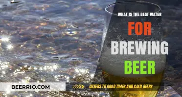 Unlocking the Perfect Brew: A Guide to Choosing the Best Water for Beer