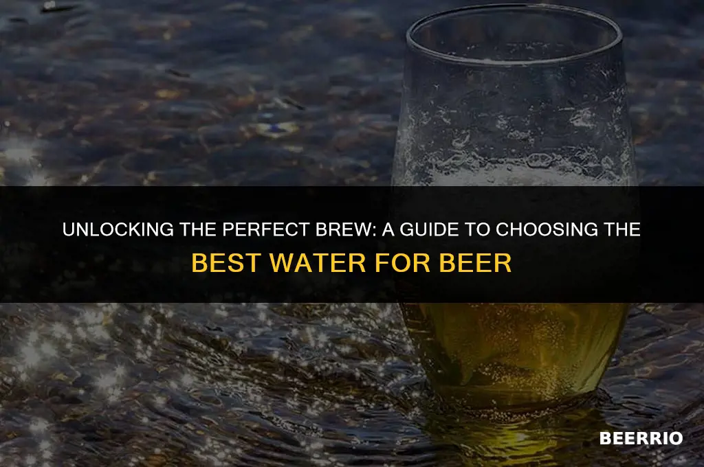 what is the best water for brewing beer