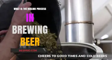 The Art of Brewing: Understanding the Boiling Process in Beer Making