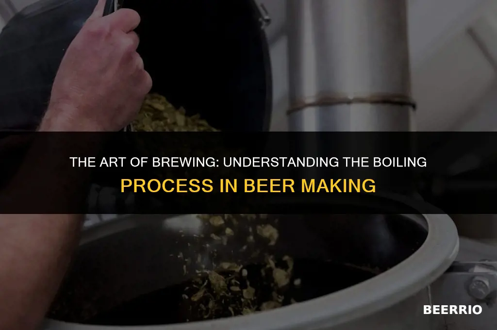 what is the boiling process in brewing beer