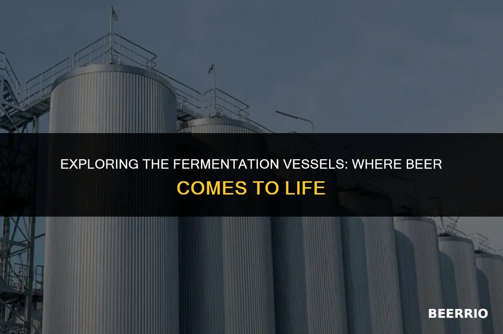 what is the container beer is brewed in
